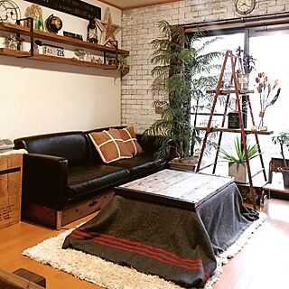 こたつ/インスタ→TOMOOO.25/ディスプレイ/DIY/建て売り...などのインテリア実例 - 2015-12-10 08:37:13