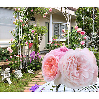 玄関/入り口/薔薇が好き/癒しスペース/お庭づくり/薔薇のアーチのインテリア実例 - 2023-08-01 14:22:34
