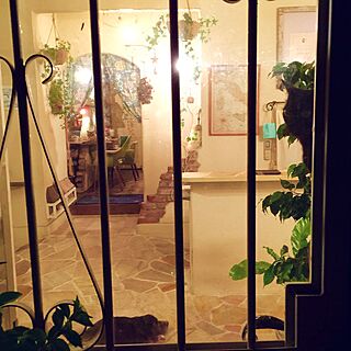 玄関/入り口/照明/ねこ/アイアンの壁飾り/アイアン...などのインテリア実例 - 2016-05-28 20:10:45