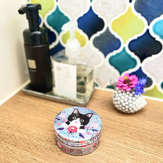 名古屋モザイクタイル/STEAM CREAM/愛用品/ねこのいる暮らし/植物のある暮らし...などのインテリア実例 - 2022-09-10 15:15:07