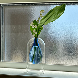 リビング/窓辺の花/いつもありがとうございます♡/草花が好き/花瓶...などのインテリア実例 - 2024-05-04 13:04:34