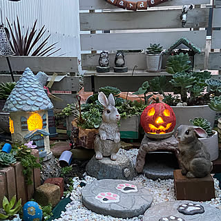 玄関/入り口/ハロウィン/モルタル造形/多肉の寄せ植え作るの楽しみ/いつもいいねありがとうございます♡...などのインテリア実例 - 2023-10-25 10:06:53