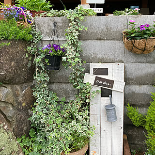 自分時間(*˘︶˘*).｡.:*/植物のある暮らし/はなのある暮らし/ナチュラル/いつもいいねありがとうございます♡...などのインテリア実例 - 2021-05-22 12:17:49