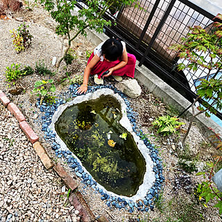 庭 池のおしゃれなインテリアコーディネート レイアウトの実例 Roomclip ルームクリップ