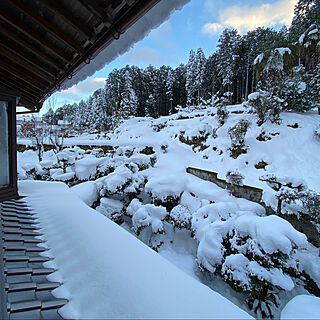 雪景色/田舎暮らし/家族で暮らす/和風建築/玄関/入り口のインテリア実例 - 2023-01-25 19:45:33