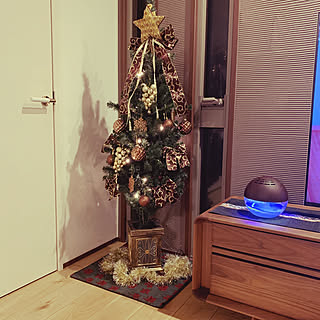 クリスマス/クリスマスツリー/リビングのインテリア実例 - 2019-11-06 21:04:20