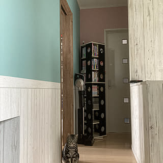 爪研ぎ防止のインテリア実例 Roomclip ルームクリップ