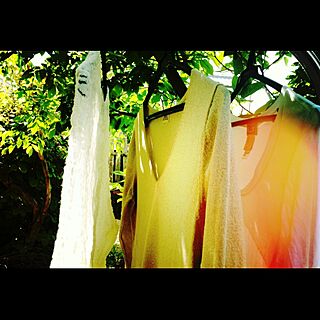 洗濯物干し/グリーンのある暮らし/庭のインテリア実例 - 2017-03-09 13:33:42