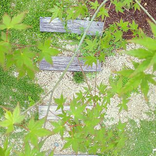 枕木/ガーデニング/雑木の庭のインテリア実例 - 2016-05-22 14:31:13
