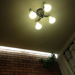 壁/天井/照明/煉瓦/フェイクグーリン/IKEAカーテン...などのインテリア実例 - 2013-03-01 18:49:10