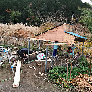 ベッド周り/インスタ→pepe_garden/犬小屋/犬小屋DIY/石積みのある庭...などのインテリア実例 - 2018-12-05 15:58:29