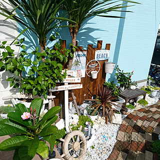 玄関 入り口 南国風にしたいのインテリア実例 Roomclip ルームクリップ