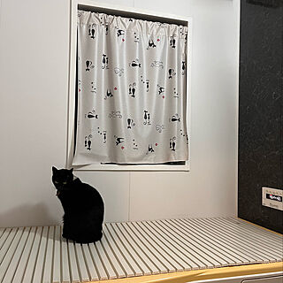 ここはあったかいにゃん/風呂蓋に乗る猫/ねこのいる風景/黒猫ミースケ/バス/トイレのインテリア実例 - 2021-12-07 20:56:25