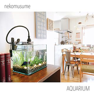 棚/aquarium /IKEA 照明/こどもと暮らす。/水槽...などのインテリア実例 - 2016-07-18 11:38:49