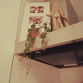 キッチン/IKEA/写真/植物のインテリア実例 - 2016-04-09 09:46:02