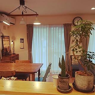 部屋全体/建て売りだけど…可愛くしたい(^^;/DIY初心者/観葉植物のある部屋/100均　...などのインテリア実例 - 2017-04-24 18:08:09