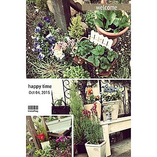 玄関/入り口/花/ガーデニングが楽しい季節です/庭DIY/庭...などのインテリア実例 - 2015-04-10 21:34:14