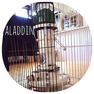 リビング/アンティーク/Aladdin Blue Flame のインテリア実例 - 2014-02-12 15:20:04