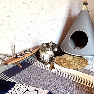 部屋全体/西海岸インテリア/ねこと暮らす/猫のための家/ハンドメイド...などのインテリア実例 - 2017-06-07 13:29:33