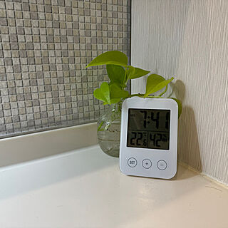 部屋全体/時計/IKEA/観葉植物のインテリア実例 - 2024-02-08 07:46:47