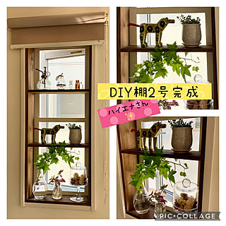 動物雑貨/みてくれてありがとう(*ˊᵕˋ*)♡/葉っぱ好き♡/窓の棚DIY/棚のインテリア実例 - 2022-05-22 09:59:58