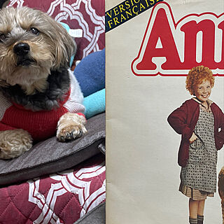 アニーのレコード海外盤を集める/レコードプレーヤー/Annie/犬と暮らす/アニー...などのインテリア実例 - 2022-01-04 17:44:38