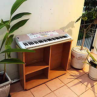 キーボード/見てくれてありがとうございます/ウンベラータ/植物のある暮らし/観葉植物...などのインテリア実例 - 2021-04-18 22:27:49