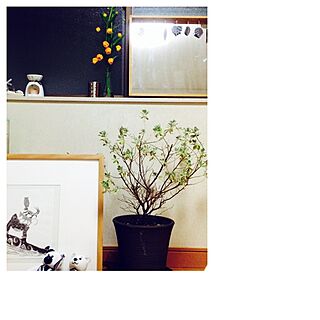 植物/小物/額縁のインテリア実例 - 2014-12-10 22:19:09