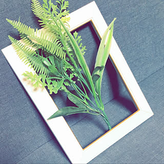 棚/観葉植物/ダイソー/100均/ハンドメイド...などのインテリア実例 - 2020-05-07 01:41:54