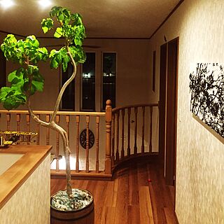 観葉植物のある暮らし/二階ホール/二階のインテリア実例 - 2017-01-25 17:38:02