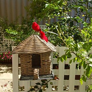 部屋全体/赤い鳥/ガーデン/赤/お庭...などのインテリア実例 - 2016-10-04 12:13:53