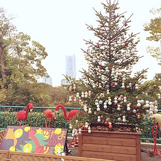 クリスマスツリー/動物園にて/帰省終了！/息子とデート♡のインテリア実例 - 2014-11-23 20:36:04