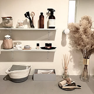 アロマストーン スリコのおしゃれなアレンジ 飾り方のインテリア実例 Roomclip ルームクリップ