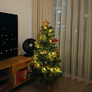リビング/クリスマスツリー/Studio Clip/studio clip クリスマスツリーのインテリア実例 - 2023-11-29 10:50:27