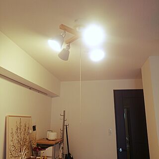 壁/天井/ライト/LEDのインテリア実例 - 2017-03-12 15:42:09