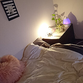 ベッド周り/間接照明/8畳1K/1人暮らし 1Ｋ/観葉植物...などのインテリア実例 - 2018-03-02 22:47:28