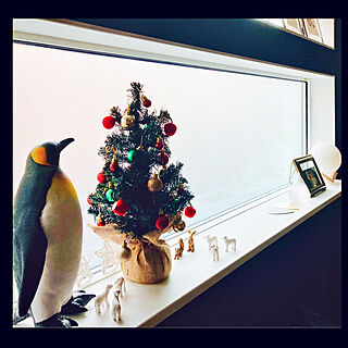 クリスマス/フロストガラス/ペンギン/横長窓/棚のインテリア実例 - 2020-11-22 15:38:25