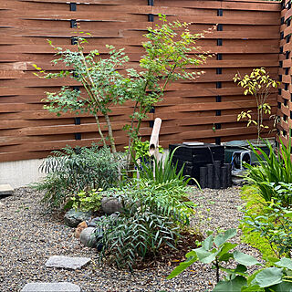 日本庭園風/ig…amiagram/植物/庭/玄関/入り口のインテリア実例 - 2021-05-12 10:32:33