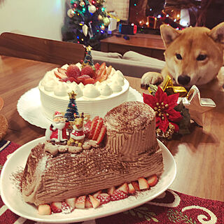 クリスマスケーキ手作り/机のインテリア実例 - 2020-12-26 22:13:43