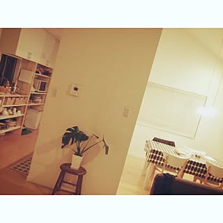 リビング/IKEA/DIY/観葉植物/アンティーク...などのインテリア実例 - 2015-08-24 17:26:26