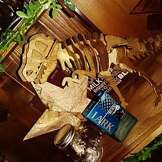 キッチン/DIY/団地　/Daiso/恐竜模型のインテリア実例 - 2015-10-19 18:35:46