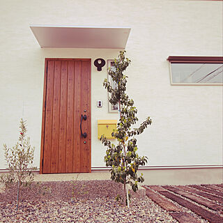 玄関ドア/黄色いポスト/シンボルツリーはオリーブ/シンボルツリー/ブルーベリーの木...などのインテリア実例 - 2019-04-25 18:27:30