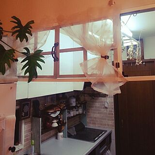 キッチン/窓枠風～/DIY/ｸﾞﾘｰﾝ/壁紙...などのインテリア実例 - 2015-02-22 23:42:16