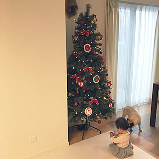 リビング/クリスマスツリー180cm/アルザスツリー/クリスマス/クリスマスツリーのインテリア実例 - 2018-10-08 14:13:11