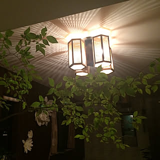 キッチン/暮らしの一コマ/観葉植物/照明/カフェ風のインテリア実例 - 2018-07-25 20:57:22