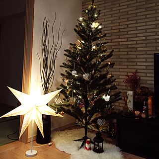 リビング/クリスマスツリー♡/IKEAのムートンラグ/IKEAのライトのインテリア実例 - 2014-11-25 23:12:24