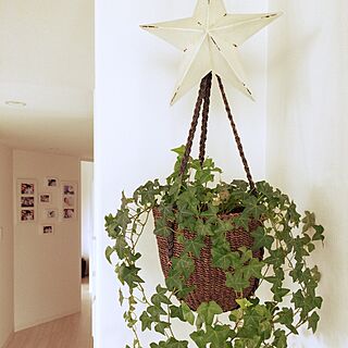 壁/天井/niko and…/IKEAの額/ウニコ/観葉植物のインテリア実例 - 2017-07-12 11:08:37