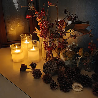 サルトリイバラのインテリア実例 Roomclip ルームクリップ