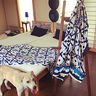 ベッド周り/寝室は和風/すのこワンコベッド/IKEAベッド/夏はやっぱり白×青♡...などのインテリア実例 - 2017-07-20 08:51:16