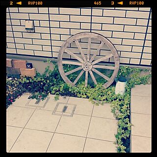 玄関/入り口/車輪/アイビーのインテリア実例 - 2013-09-30 23:54:35